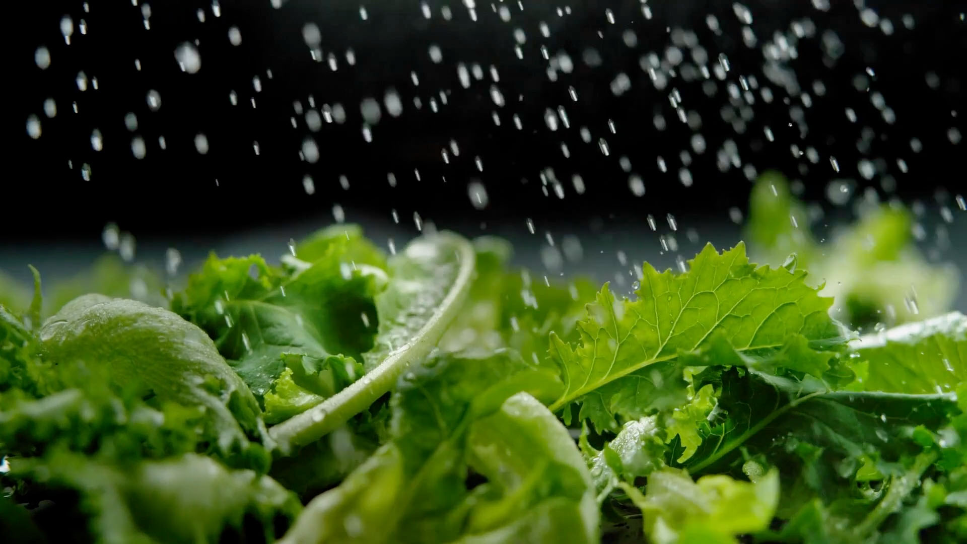 ABC Salad Table