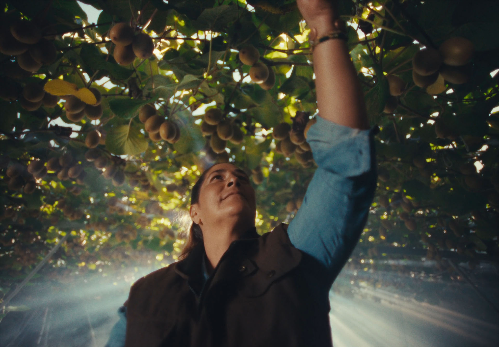 Zespri Organics
