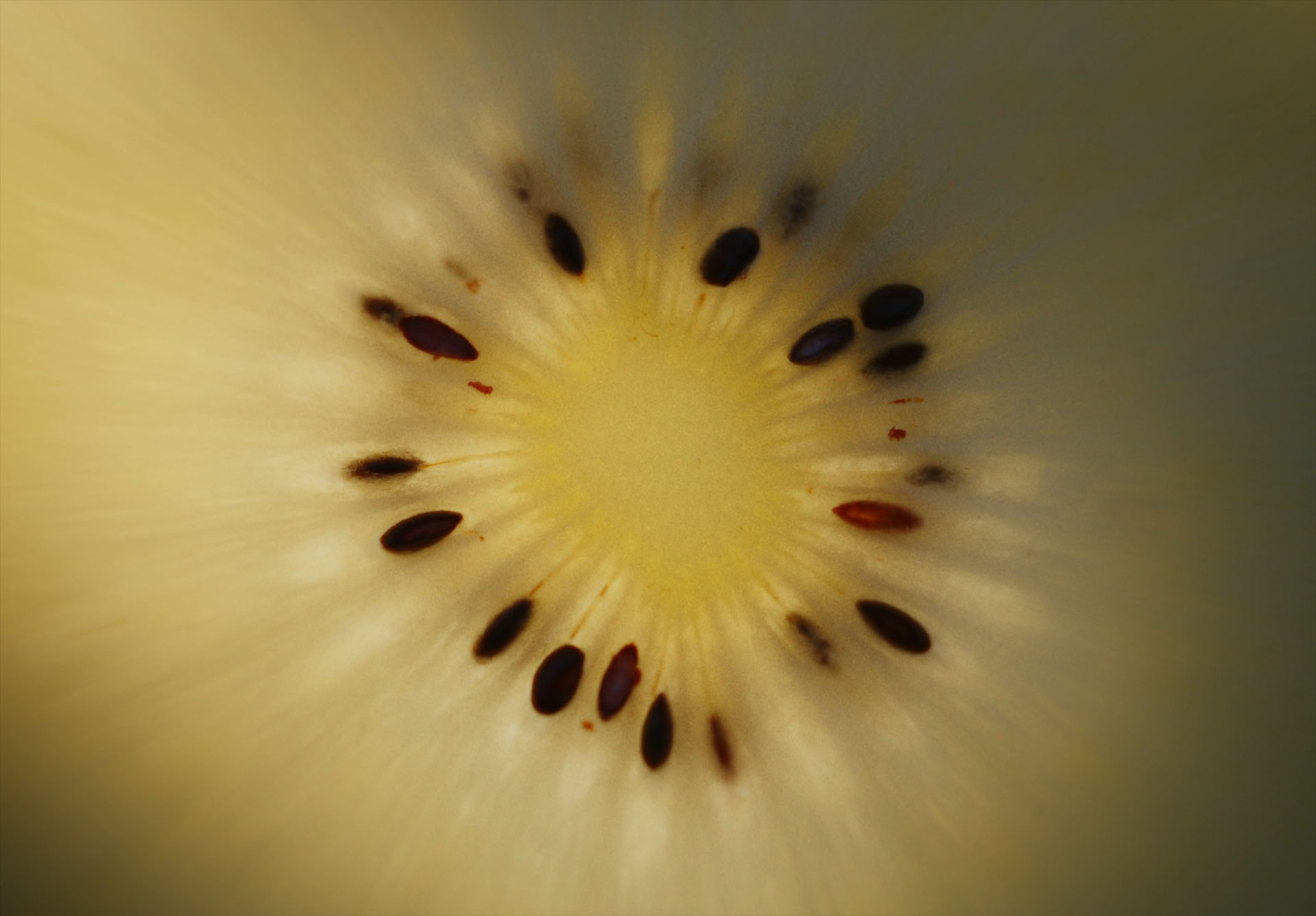 Zespri Organics